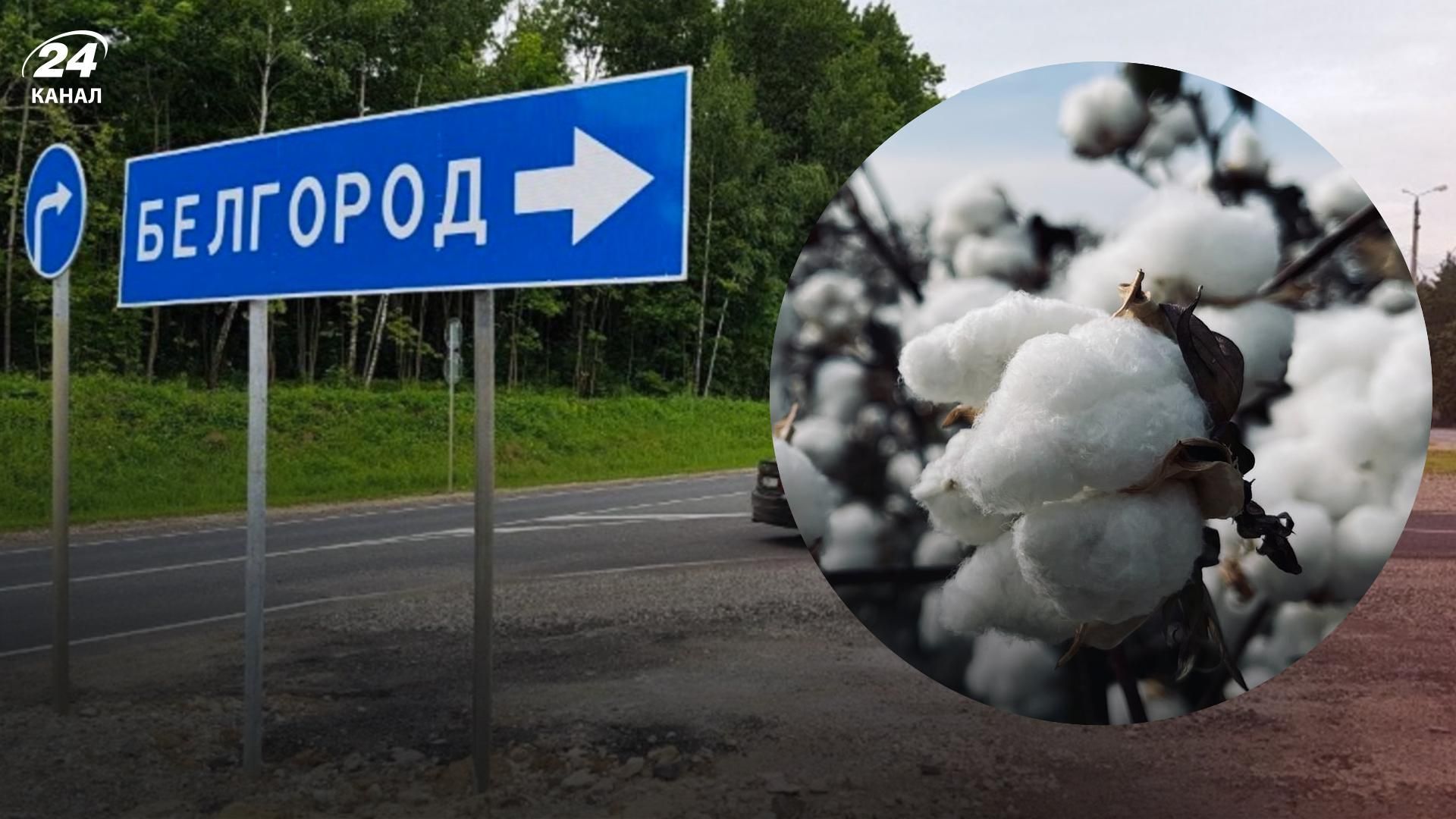 Взрывы Белгород 23.05.2023 -возле вокзала слышали взрывы - губернатор говорит об атаке дронов - 24 Канал Взрывы Белгород 23.05.2023 -возле вокзала слышали взрывы - губернатор говорит об атаке дронов - 24 Канал