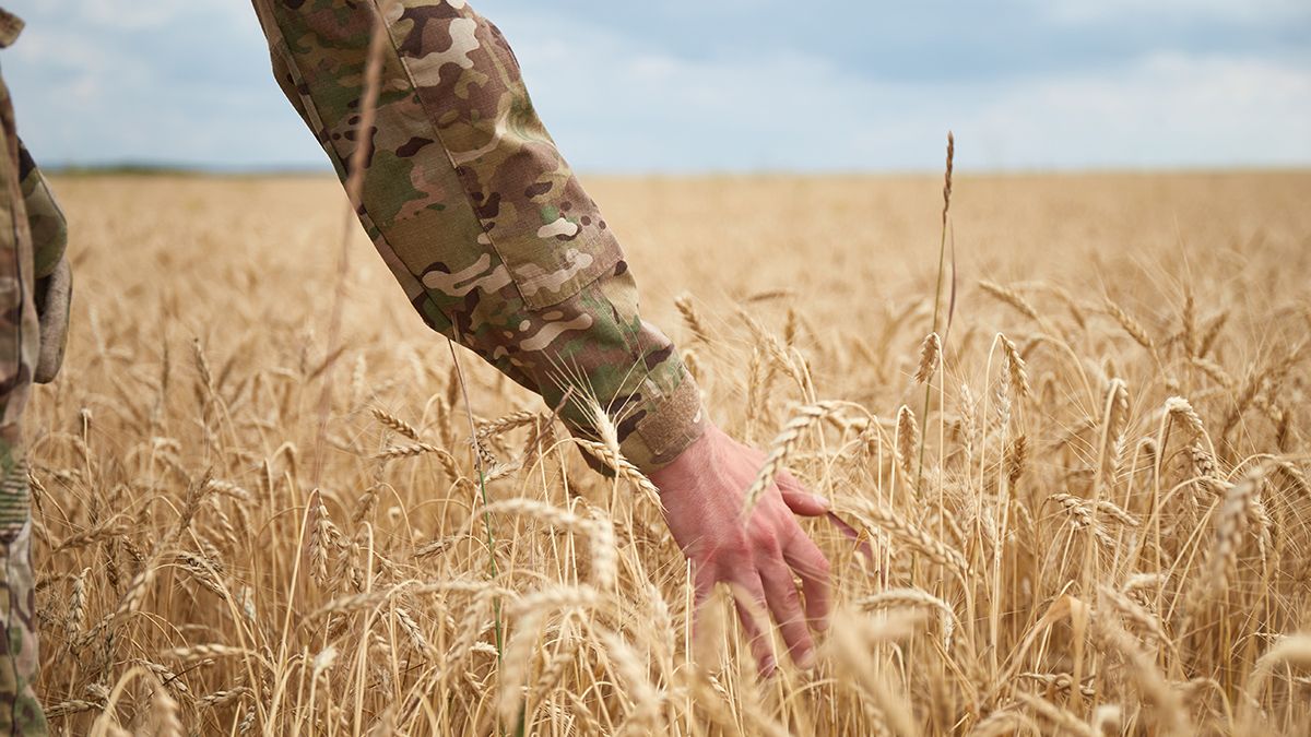 "Нам тут жити": Київстар та "Повернись живим" запускають новий збір "Нам тут жити": Київстар та "Повернись живим" запускають новий збір