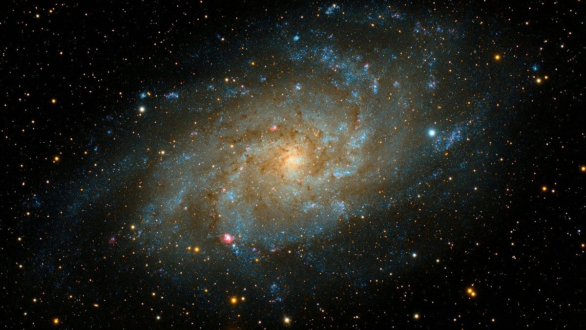 Астрономи-любителі можуть спостерігати нову наднову в небі Астрономи-любителі можуть спостерігати нову наднову в небі