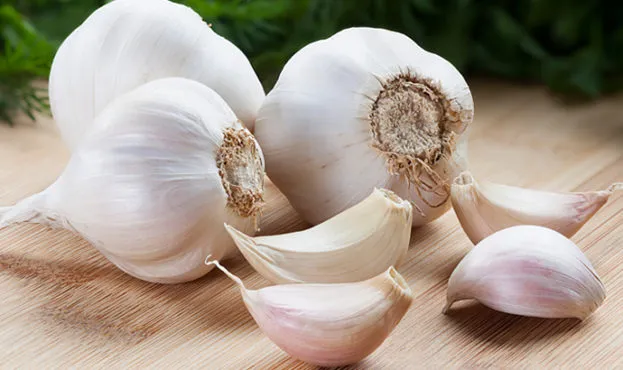 Чеснок Чеснок