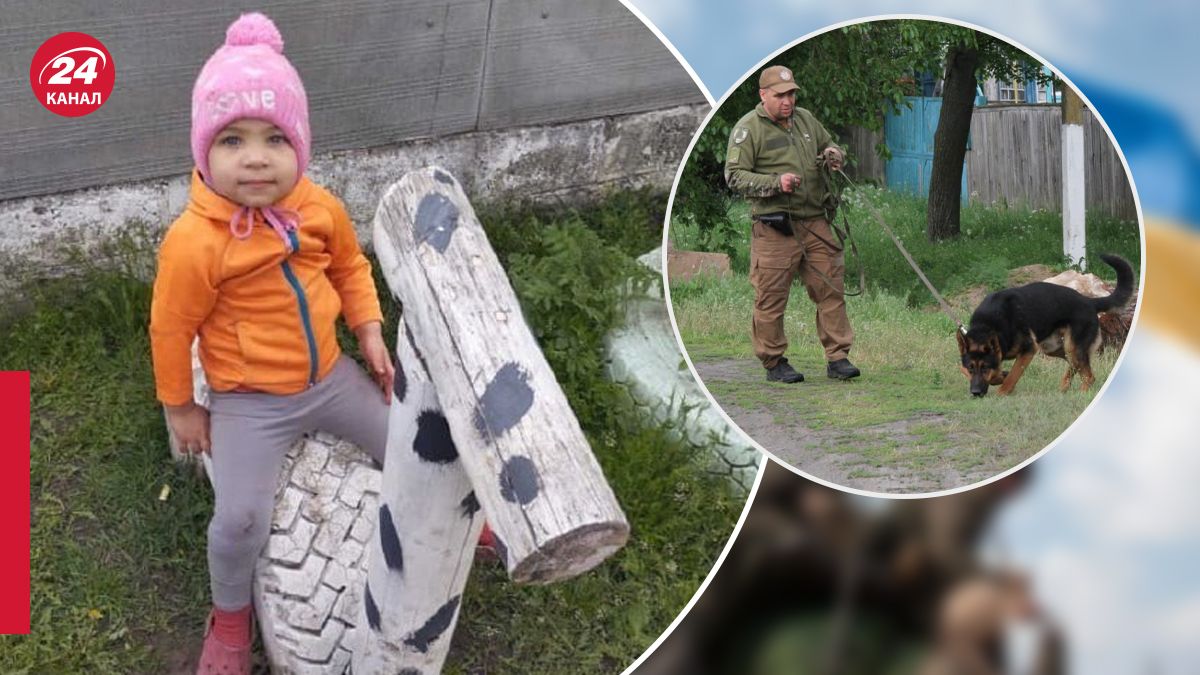 Пошуки Віолетти Мужечук Пошуки Віолетти Мужечук