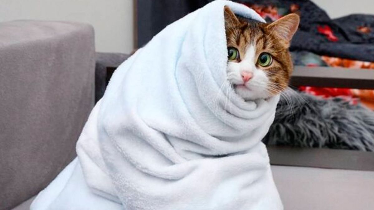 В Україні знову похолодає - 24 Канал В Україні знову похолодає - 24 Канал