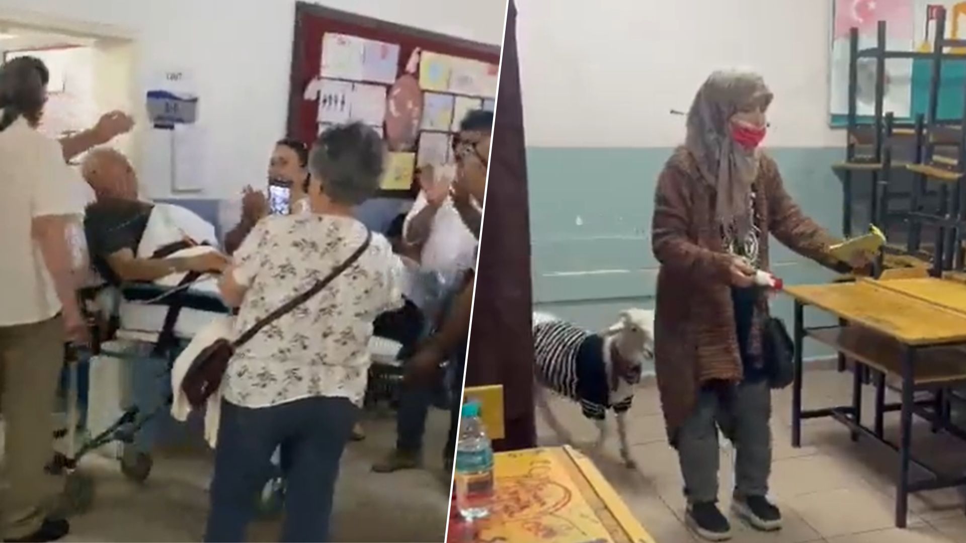 Вибори у Туреччині - турки голосують на лікарняному ліжку і з ягням - 24 Канал Вибори у Туреччині - турки голосують на лікарняному ліжку і з ягням - 24 Канал