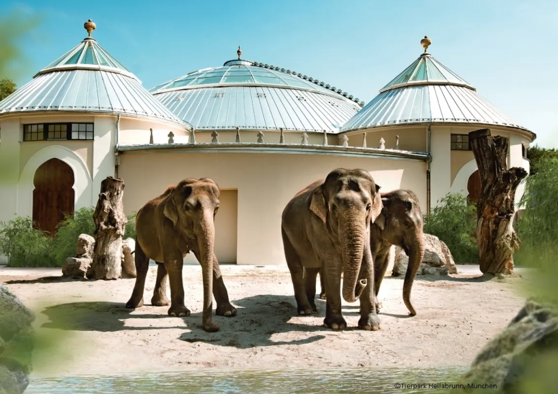 Зоопарк Hellabrunn Зоопарк Hellabrunn