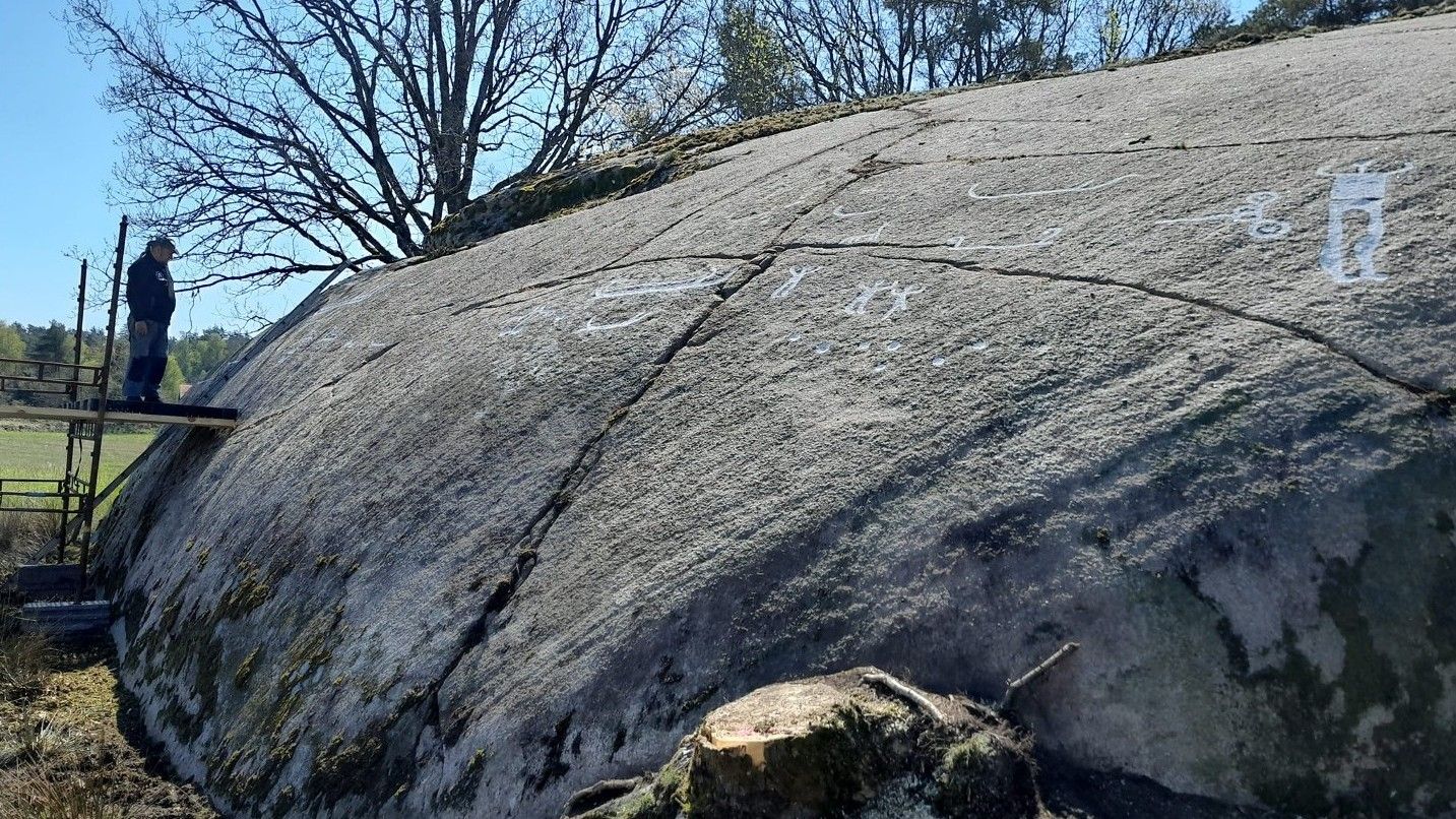 У Швеції знайшли петрогліфи віком 2700 років