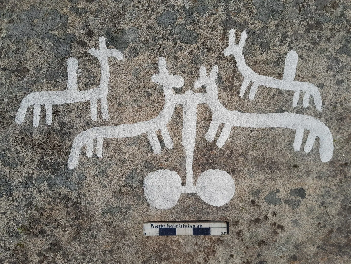Деякі з нещодавно знайдених петрогліфів