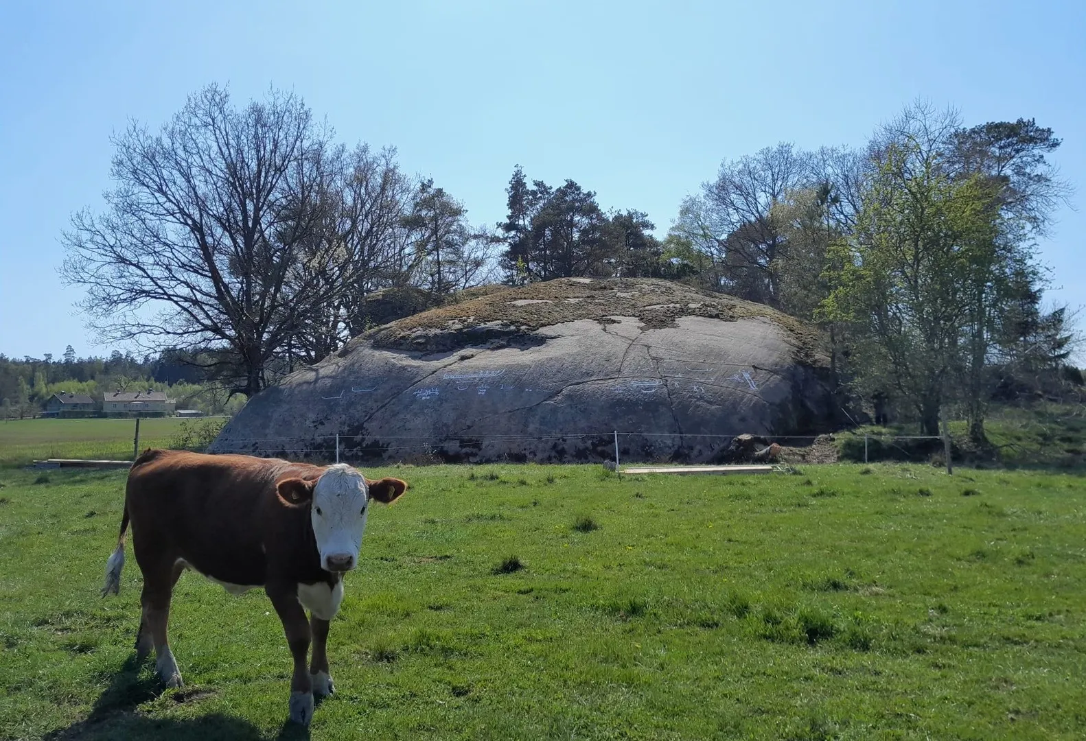 Петрогліфи знаходяться високо на гранітній скел Петрогліфи знаходяться високо на гранітній скел
