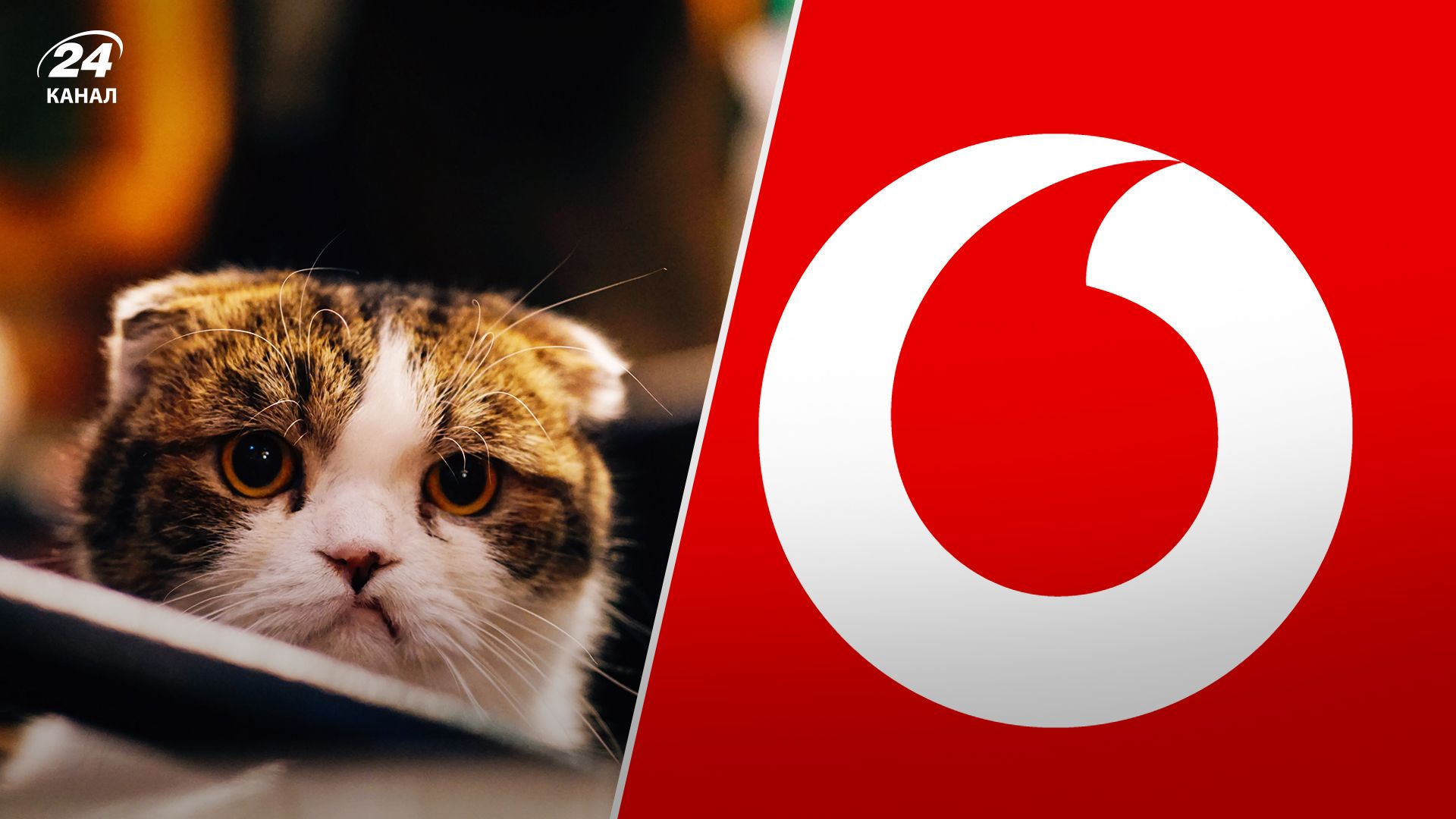 Збій у роботі Vodafone 30 травня 2023 - що відбулося - Новини України Збій у роботі Vodafone 30 травня 2023 - що відбулося - Новини України
