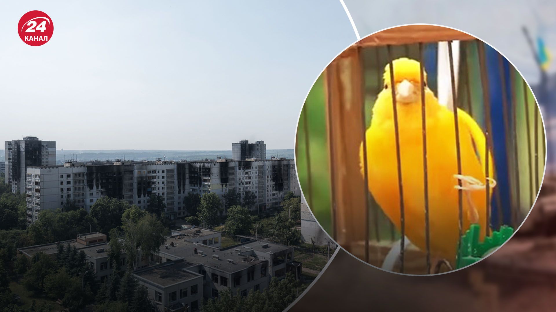 Черненко о жизни в Харькове Черненко о жизни в Харькове