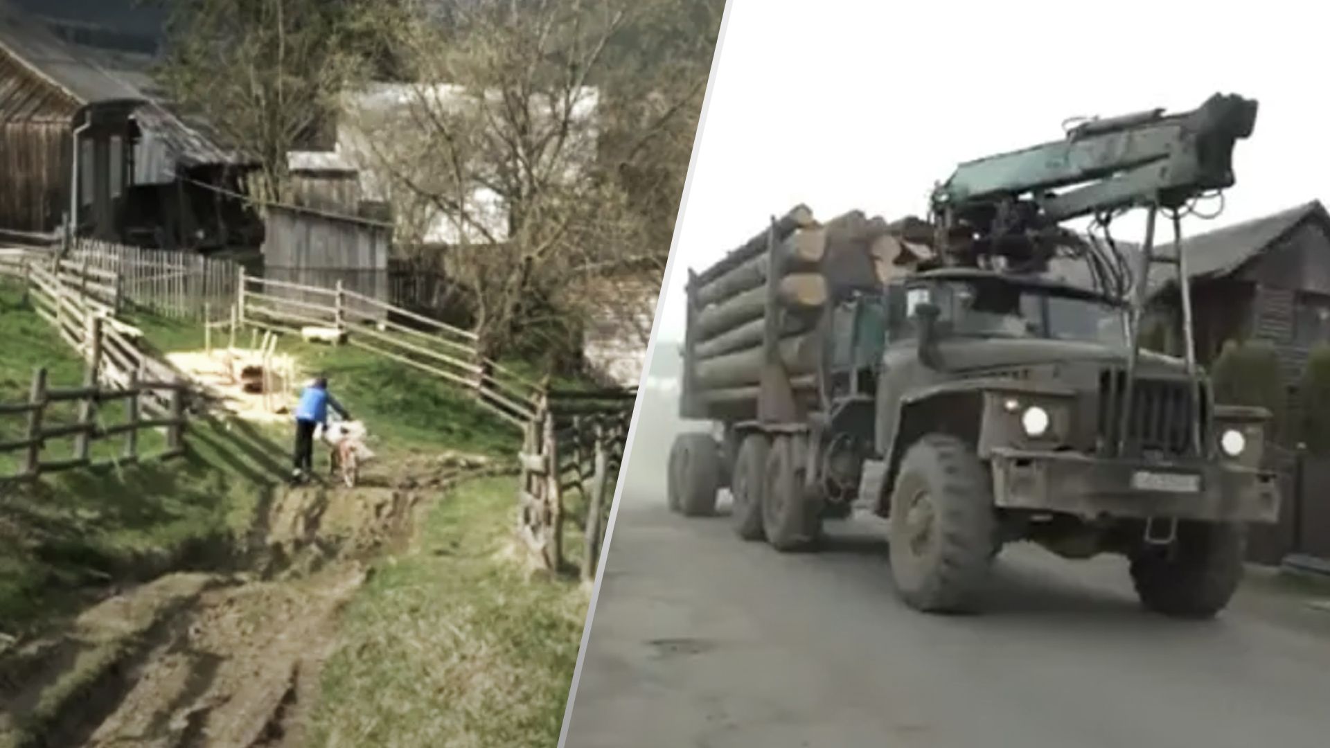 Строительство курорта "Свидовец" блокируют местные лесорубы, используя экоактивистов, – СМИ Строительство курорта "Свидовец" блокируют местные лесорубы, используя экоактивистов, – СМИ