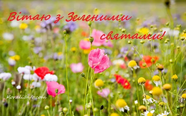 Зелені свята 2023 Зелені свята 2023