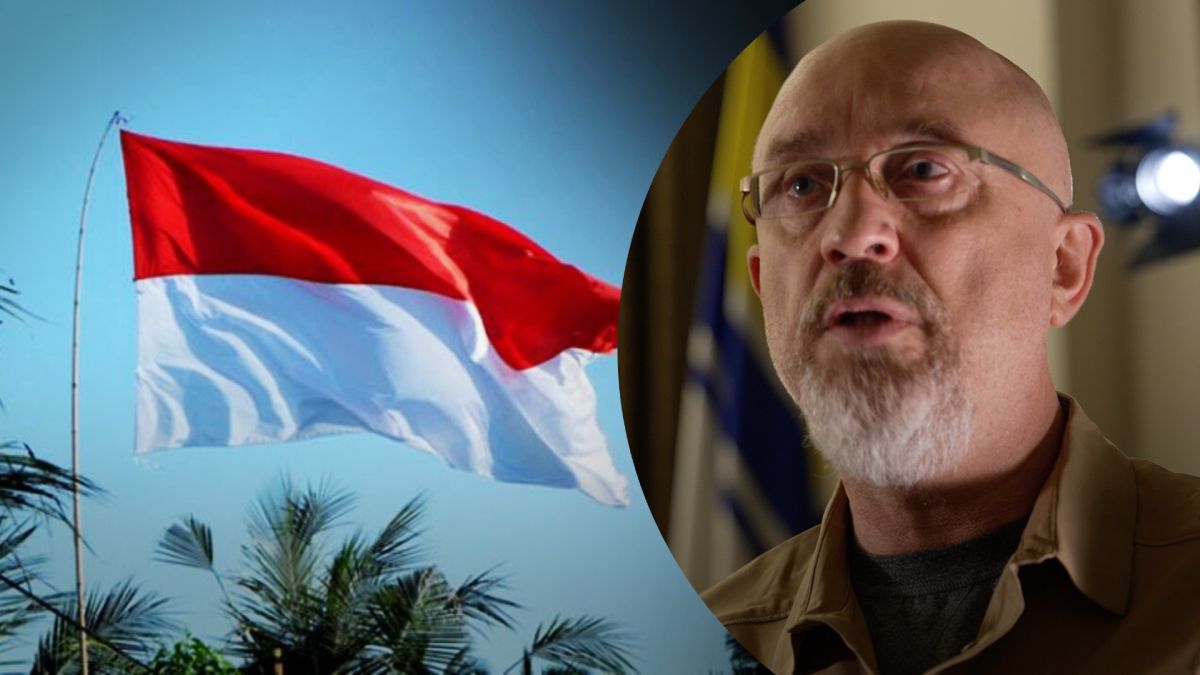 Резников раскритиковал мирный план Индонезии Резников раскритиковал мирный план Индонезии