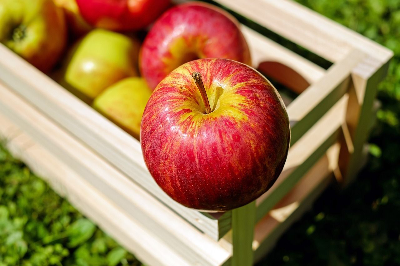 Польща стала одним з лідерів виробництва яблук