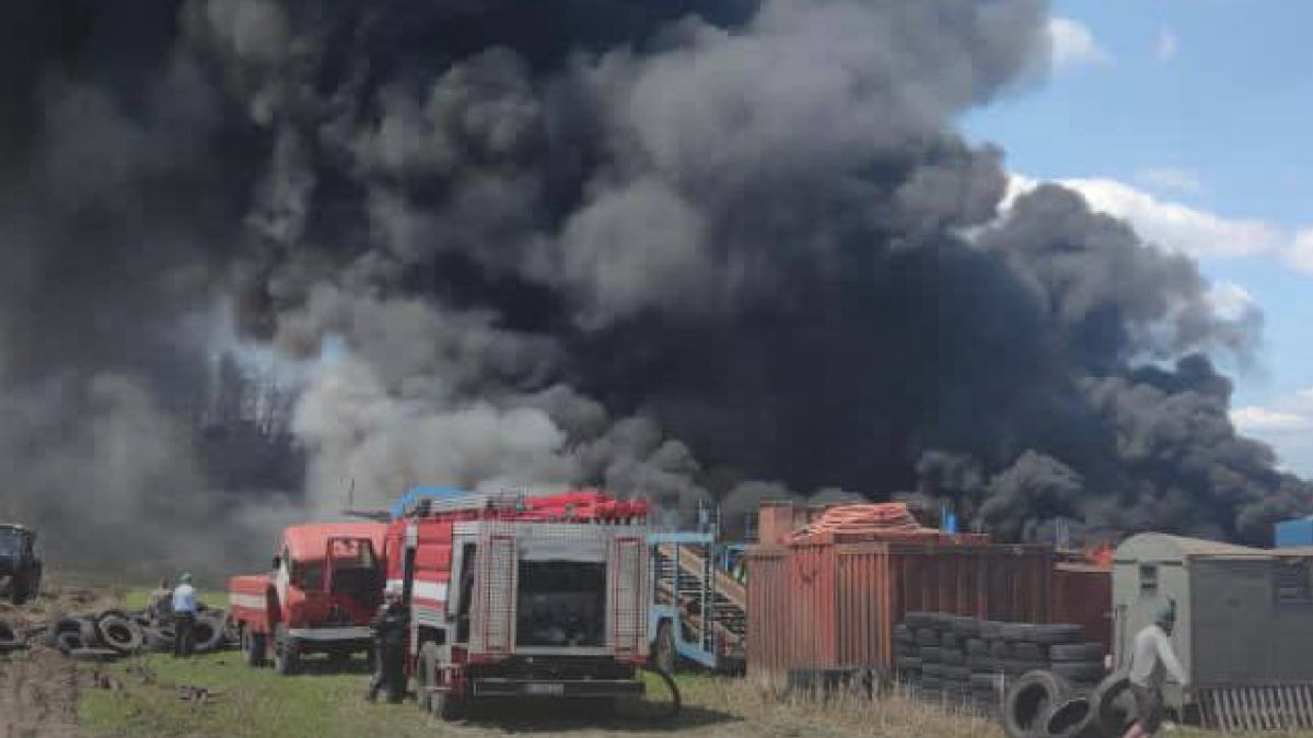 У Вишгороді спалахнула пожежа У Вишгороді спалахнула пожежа