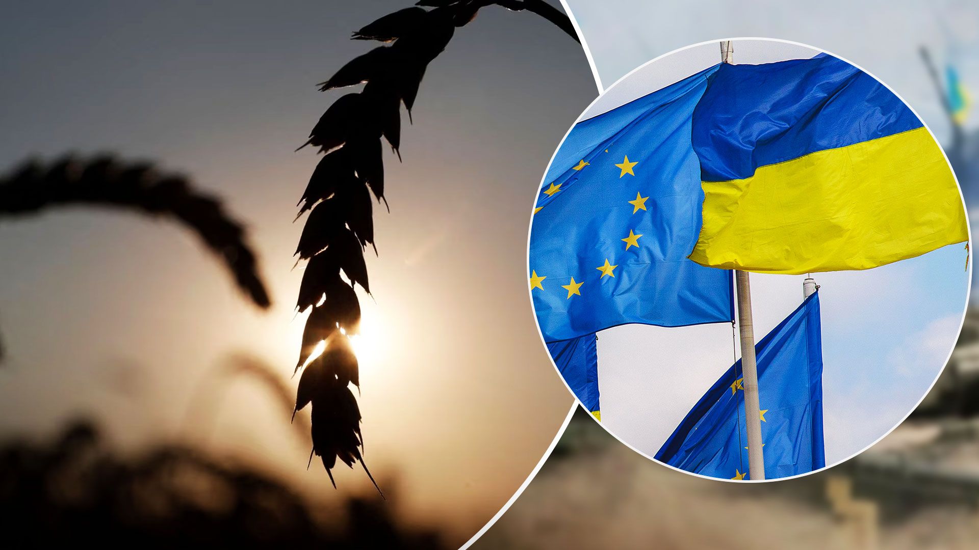 Фермеры из Европы могут блокировать вступление Украины в ЕС - эмбарго на украинское зерно - Экономика