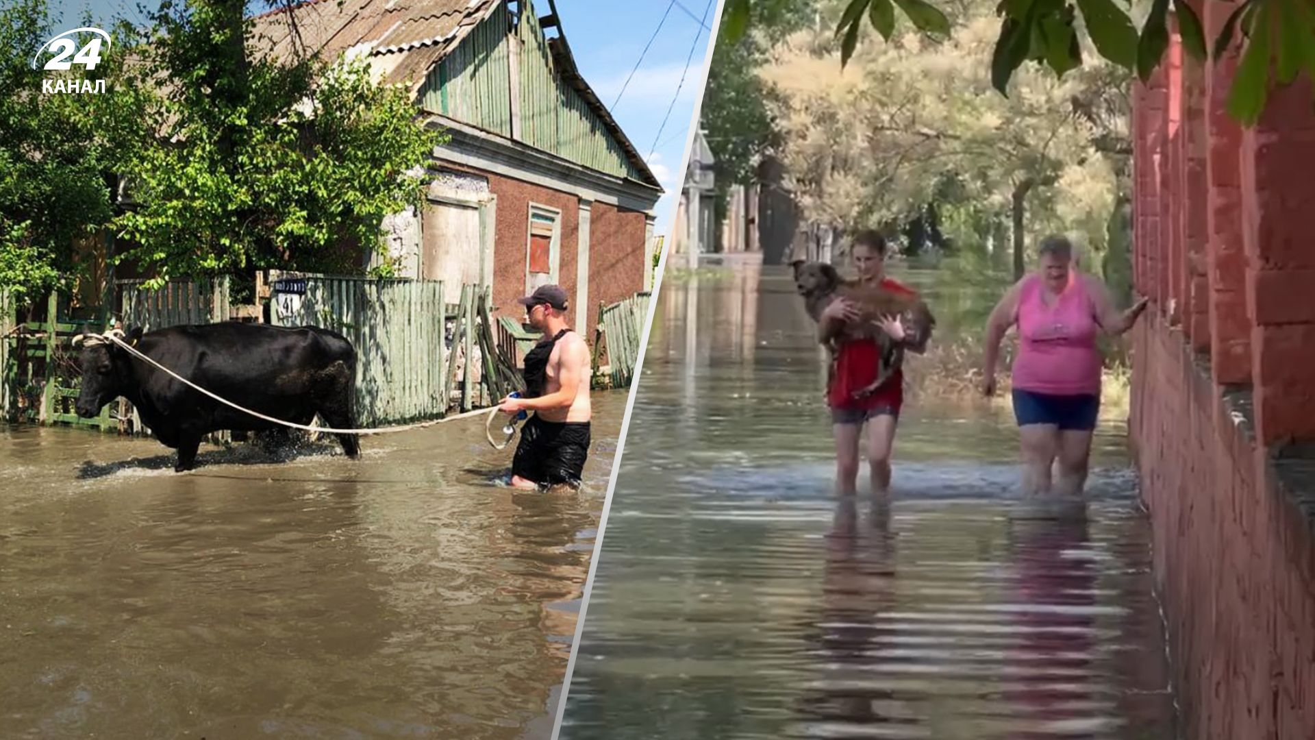 В сети появились фото и видео эвакуации людей из подтопленных районов Херсона