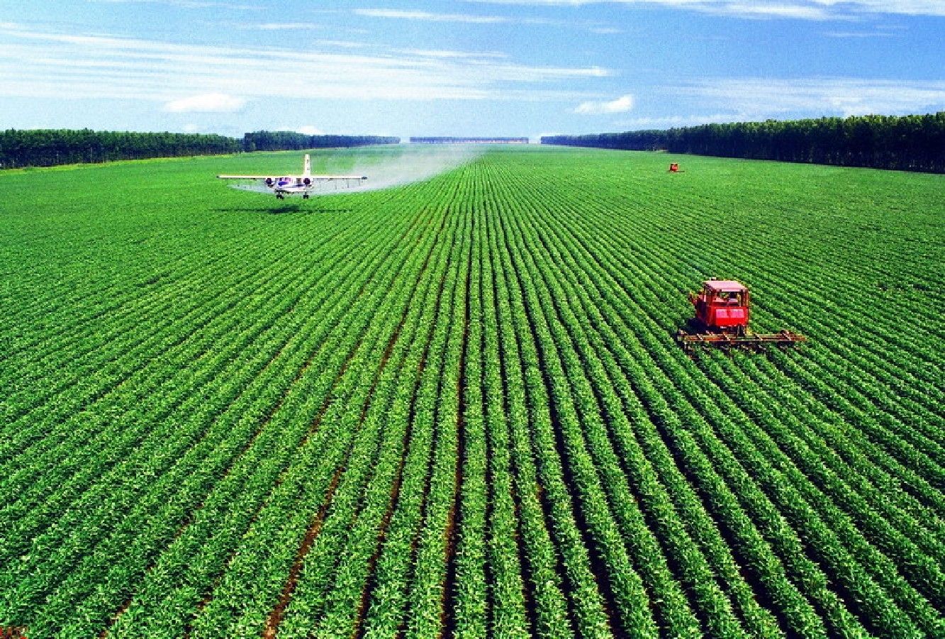 Аграрний комітет врахує претензії бізнесу щодо законопроекту про об’єднання сільгоспвиробників