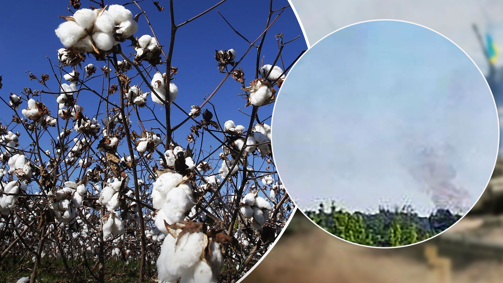 В Мелитополе и Токмаке прогремели взрывы - ВСУ ударили по оккупантам в Мелитополе - 24 Канал В Мелитополе и Токмаке прогремели взрывы - ВСУ ударили по оккупантам в Мелитополе - 24 Канал