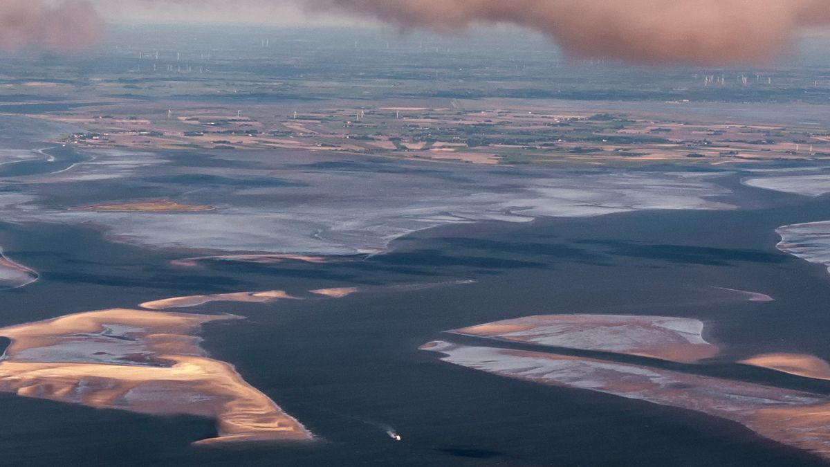 У Німеччині знайшли середньовічне місто, існування якого вважалося легендою У Німеччині знайшли середньовічне місто, існування якого вважалося легендою