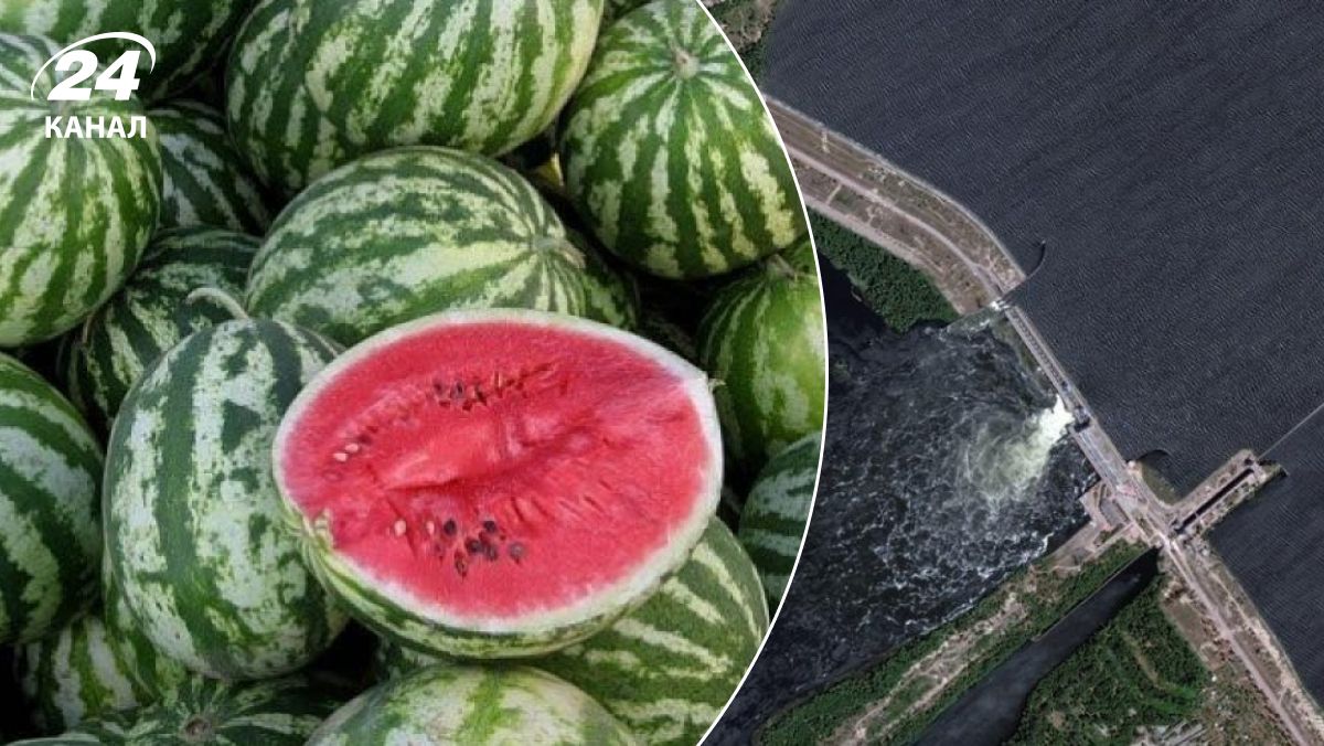 Будут ли арбузы летом Будут ли арбузы летом