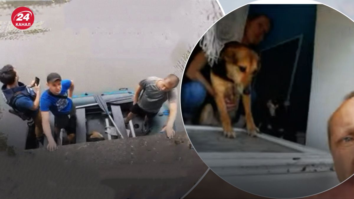 Людей і тварин забирають через вікна Людей і тварин забирають через вікна