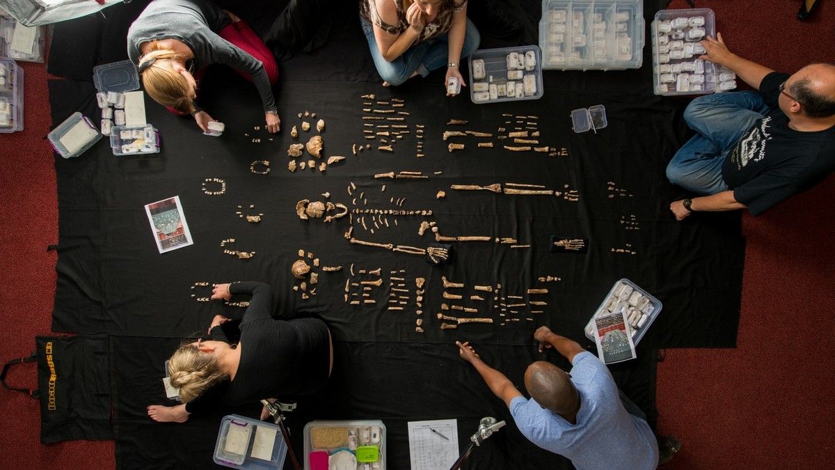 В африканській печері знайшли можливі поховання одного з вимерлих видів людини В африканській печері знайшли можливі поховання одного з вимерлих видів людини