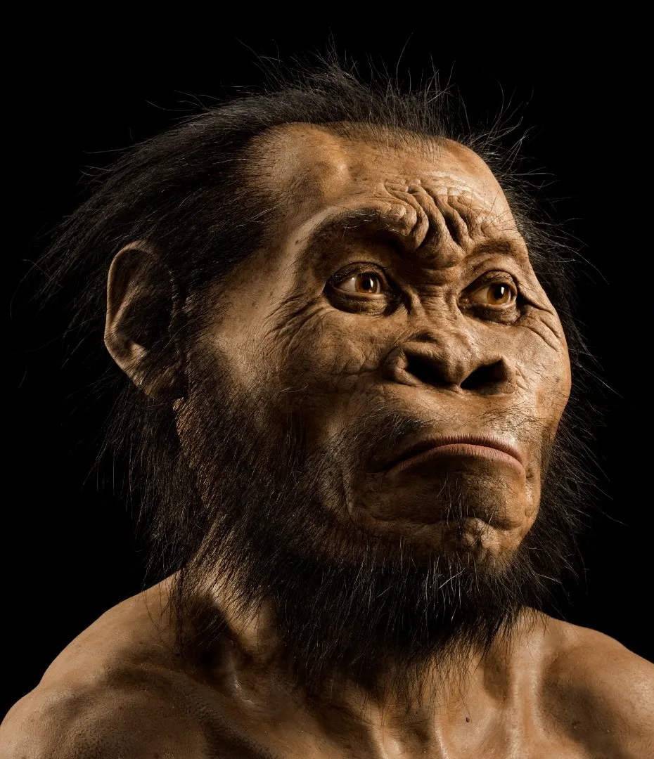 Homo naledi