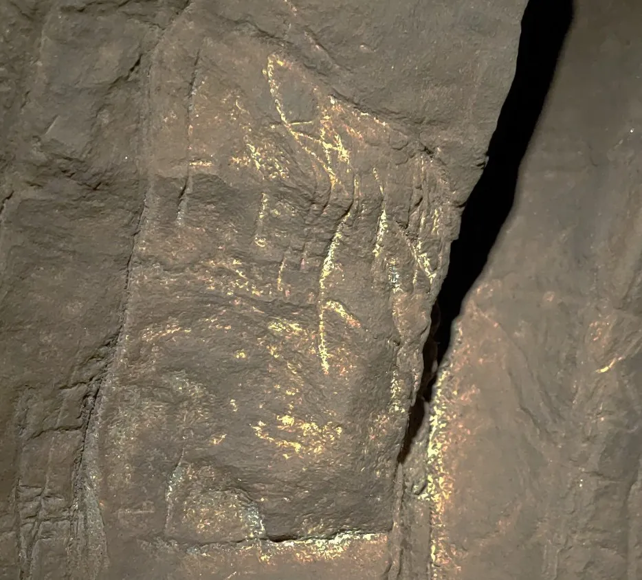 Гравировка на стенах пещеры Гравировка на стенах пещеры