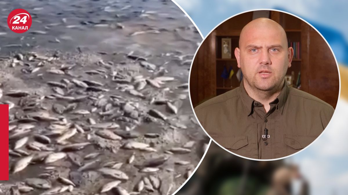 Лысак о море рыбы из-за подрыва Каховской ГЭС Лысак о море рыбы из-за подрыва Каховской ГЭС