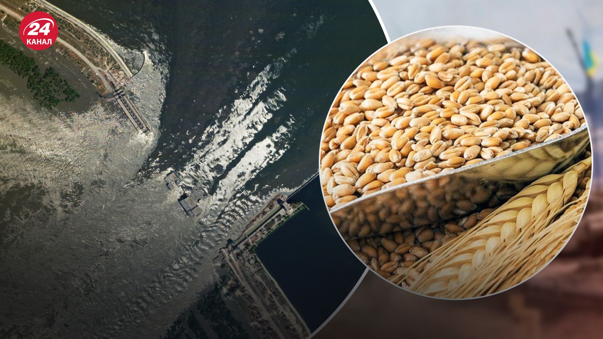 Подрыв Каховской ГЭС угрожает урожаю этого года Подрыв Каховской ГЭС угрожает урожаю этого года