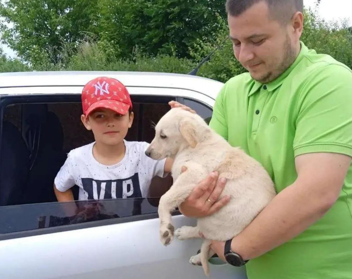 Из подтопленного Херсона на Буковину эвакуировали 105 животных