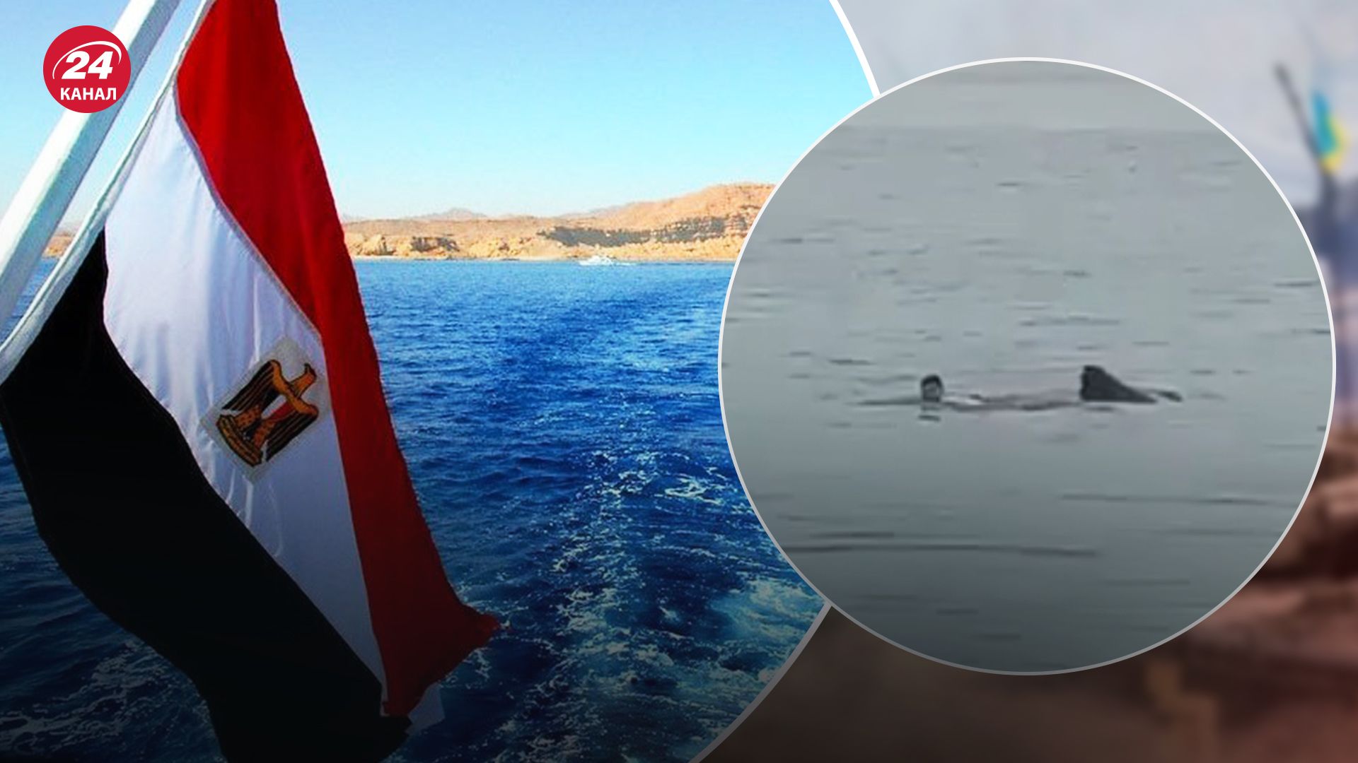 Росіянина в Єгипті з'їла акула