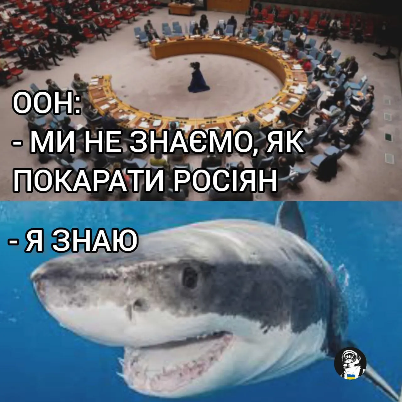 Акула Акула