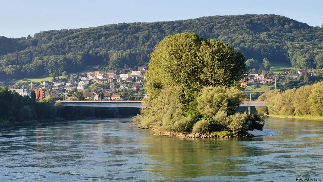 Острів Фрідолін Острів Фрідолін