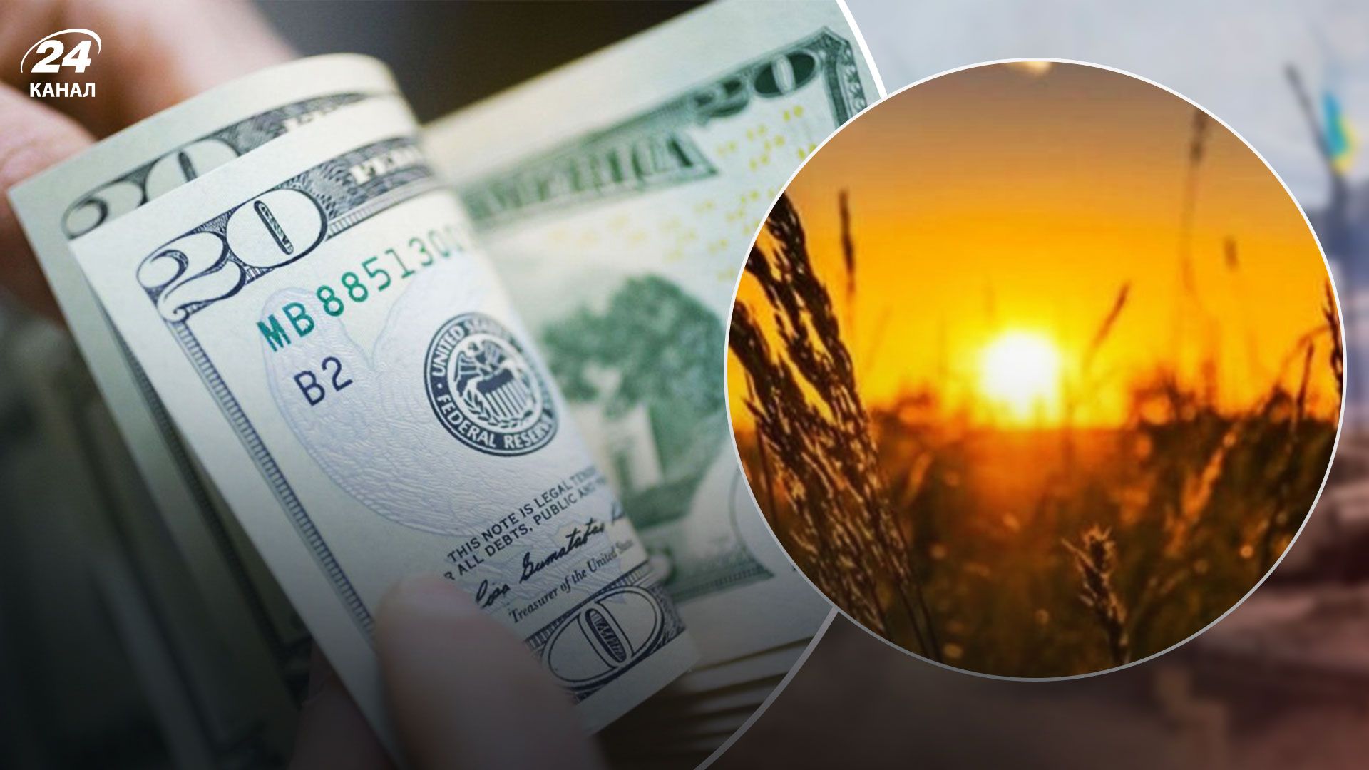 Курс доллара летом – сколько будет стоить валюта – будет ли доллар по 36,6 гривны