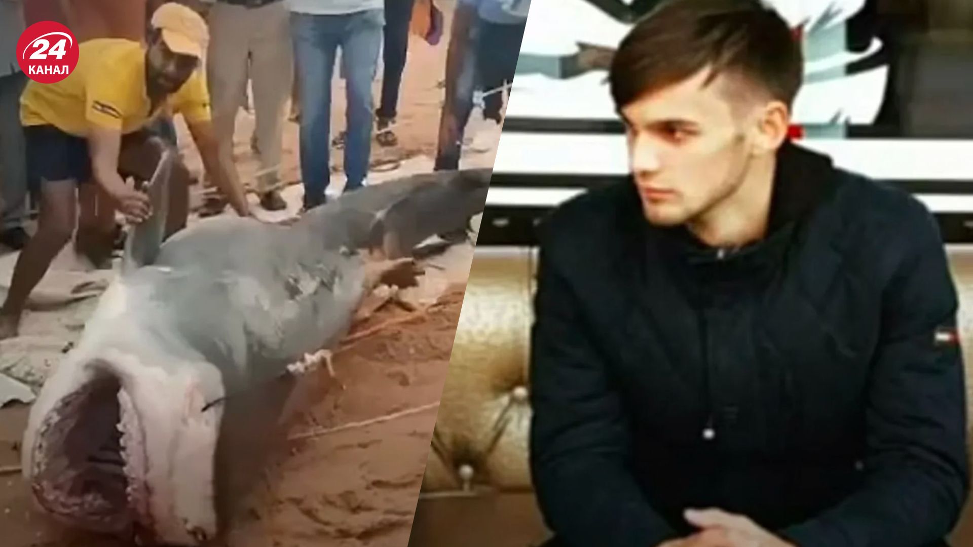 Акула съела россиянина в Египте - СМИ рассказали подробности происшествия