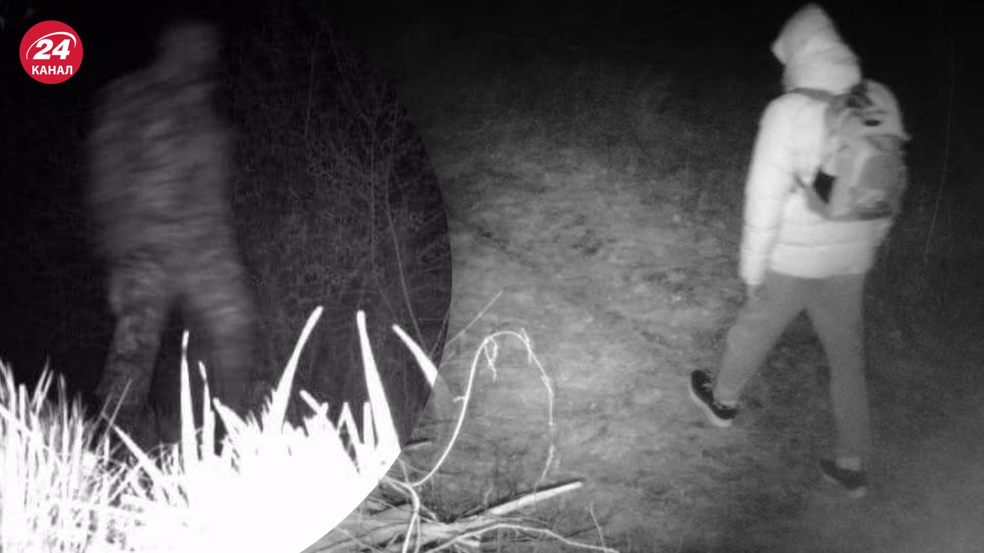 Мужчина во время бегства из Украины украл фотоловушку Мужчина во время бегства из Украины украл фотоловушку