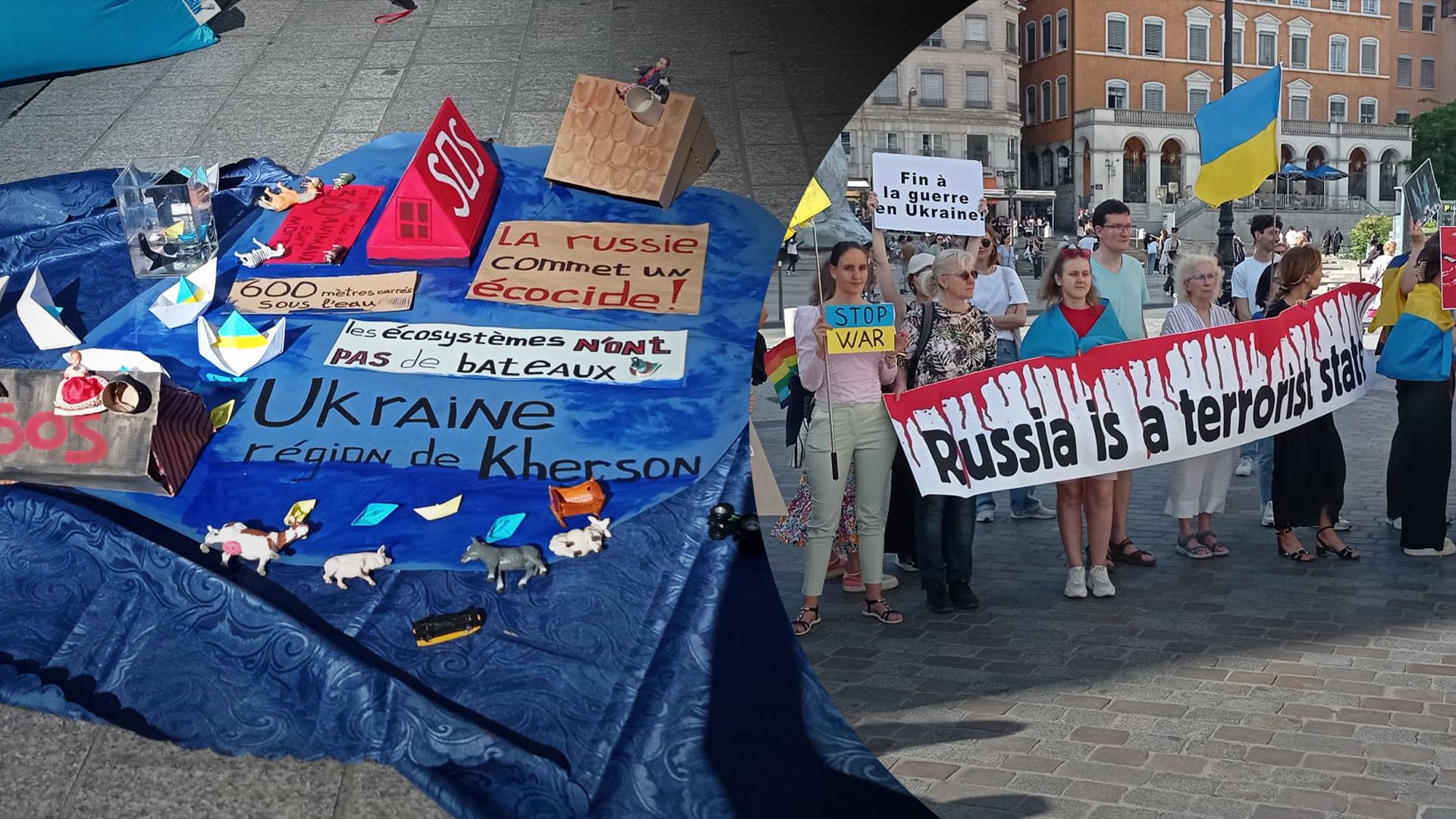 Украинцы в Лионе вышли на акцию протеста