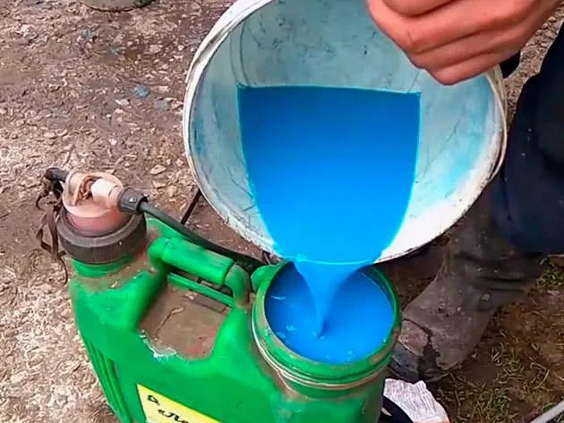 Бордоська рідина Бордоська рідина