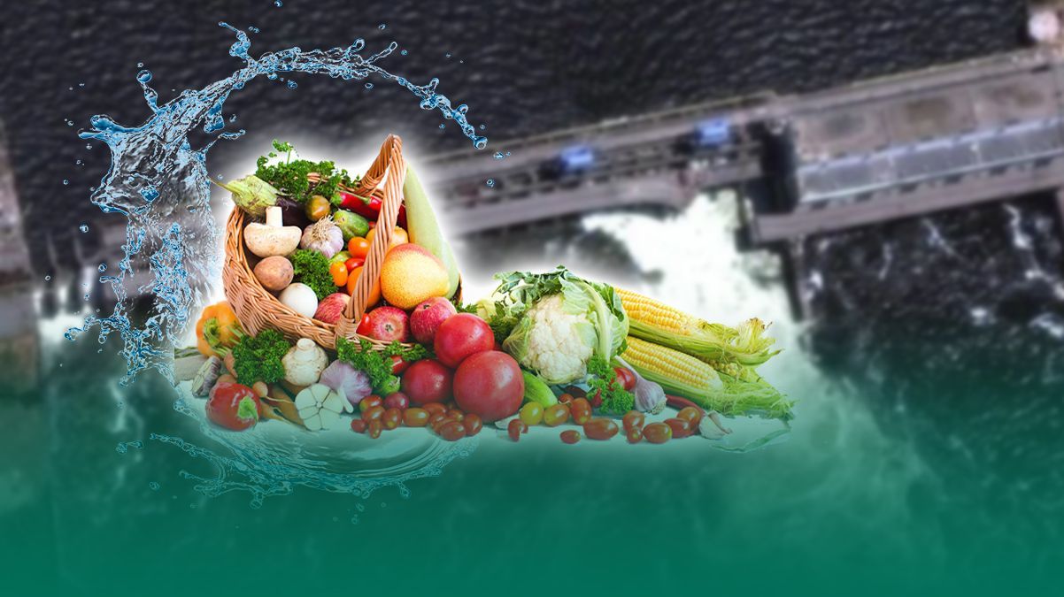 Критического дефицита продуктов из-за подрыва Каховской ГЭС украинцы не испытают Критического дефицита продуктов из-за подрыва Каховской ГЭС украинцы не испытают