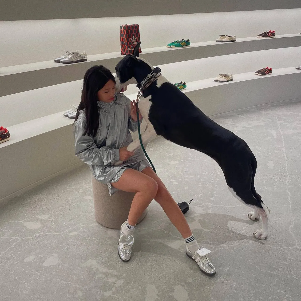 Трендові кросівки на літо у відтінку металік Трендові кросівки на літо у відтінку металік