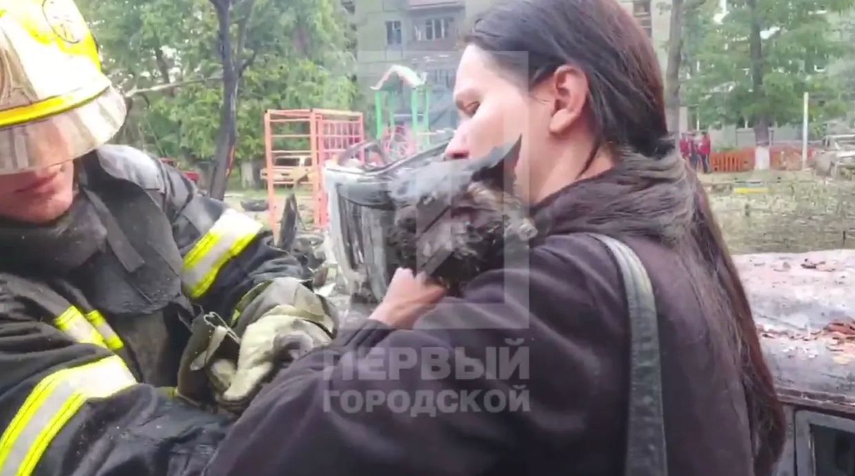 В Кривом Роге спасли кота Шамиля