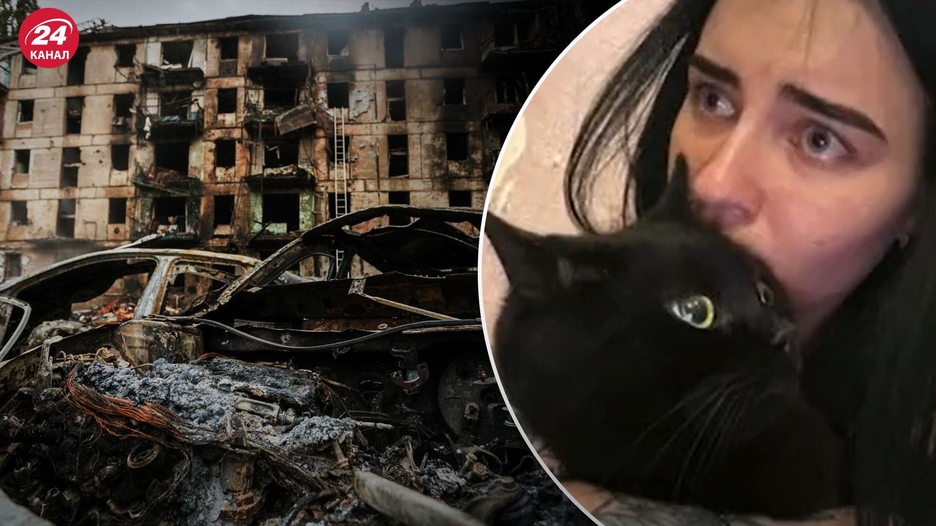 Девушка вместе с котом скрывалась от российских ракет. Девушка вместе с котом скрывалась от российских ракет.