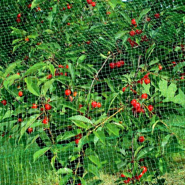 Птахозахисна сітка Птахозахисна сітка