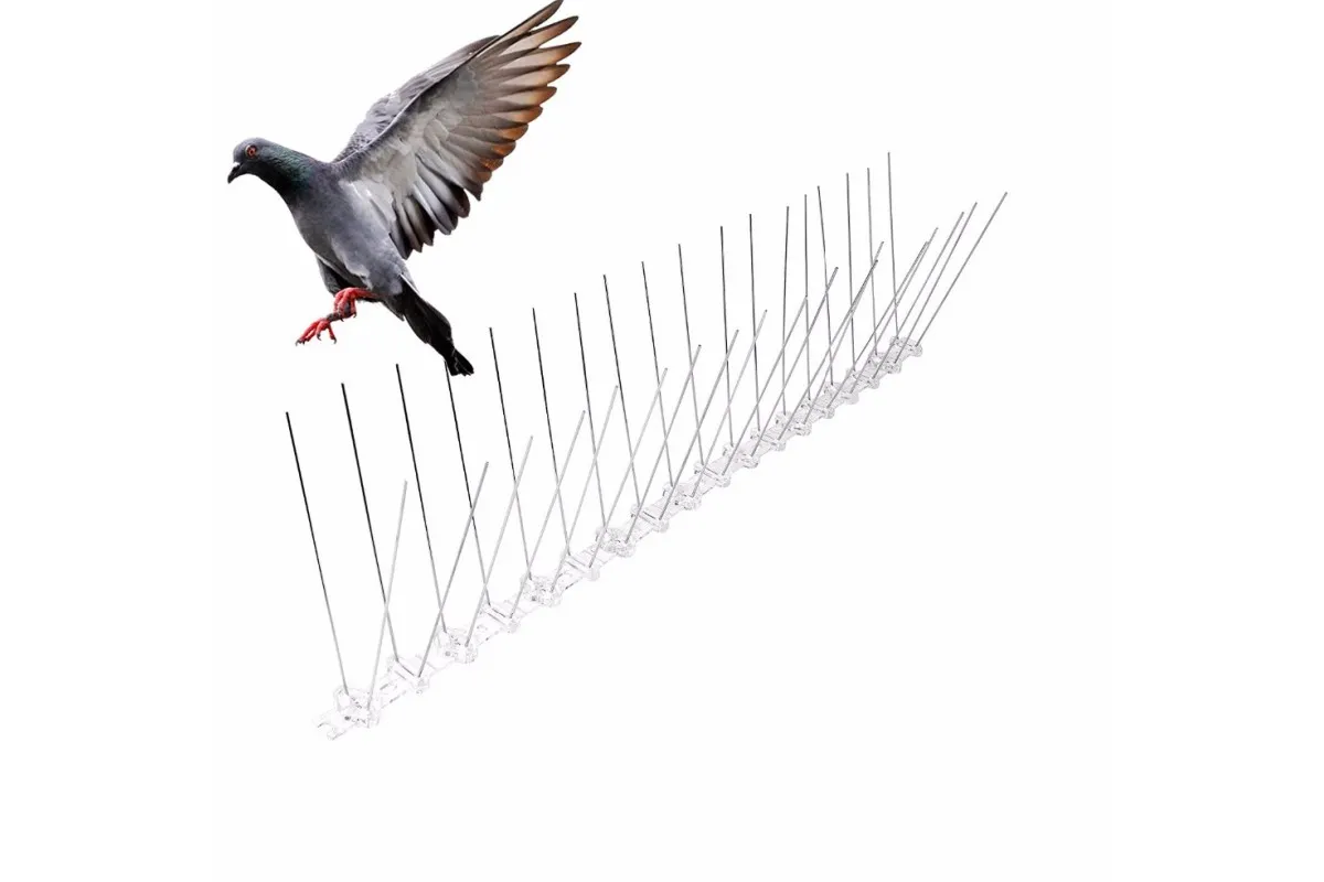 Як побудувати птахонепроникний паркан на ділянці
