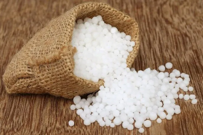 Сечовина Сечовина