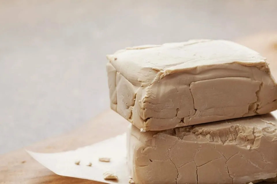 Свіжі дріжджі Свіжі дріжджі