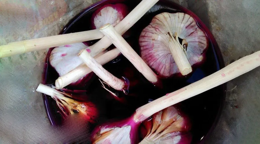 Часник з марганцівкою Часник з марганцівкою