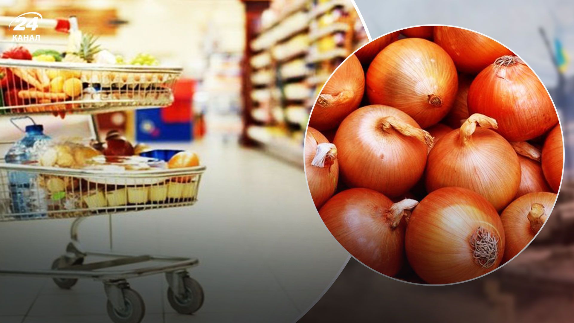 В Украине дешевеет лук В Украине дешевеет лук