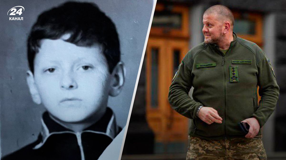 Валерий Залужный - 24 Канал Валерий Залужный - 24 Канал